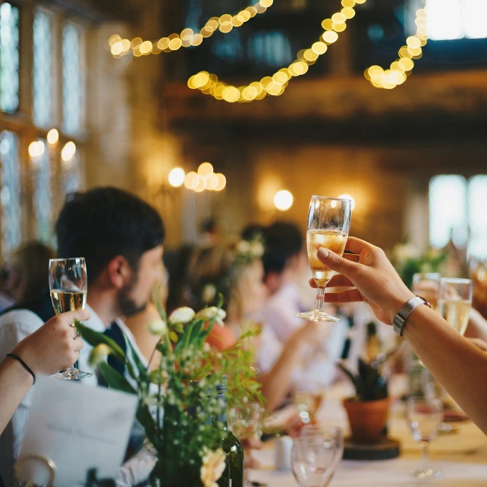 people raising wine glass in selective focus photography
